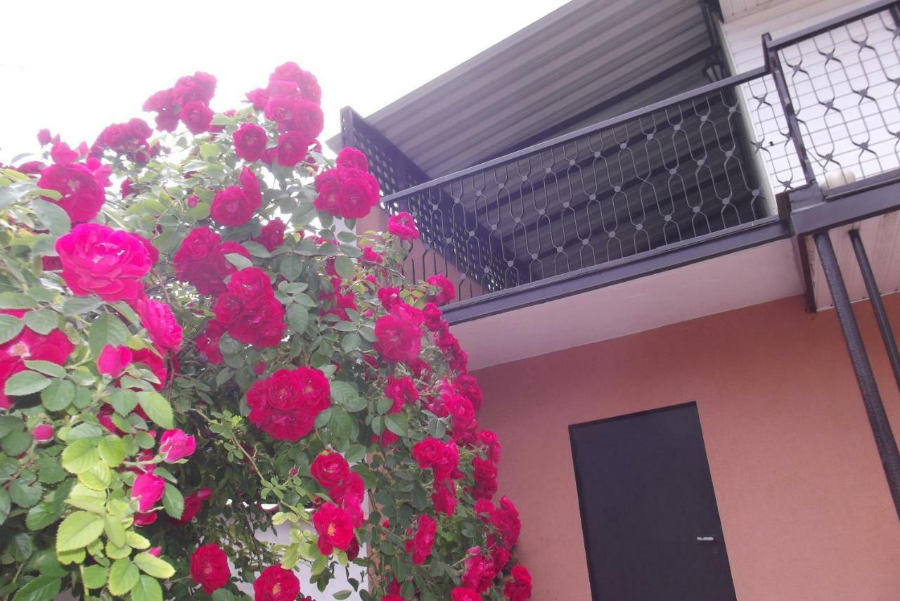 Apartament Monika Podzamcze 10 Włodawa Εξωτερικό φωτογραφία